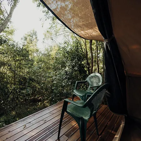 Firefly Falls Plettenberg Bay Exterior photo