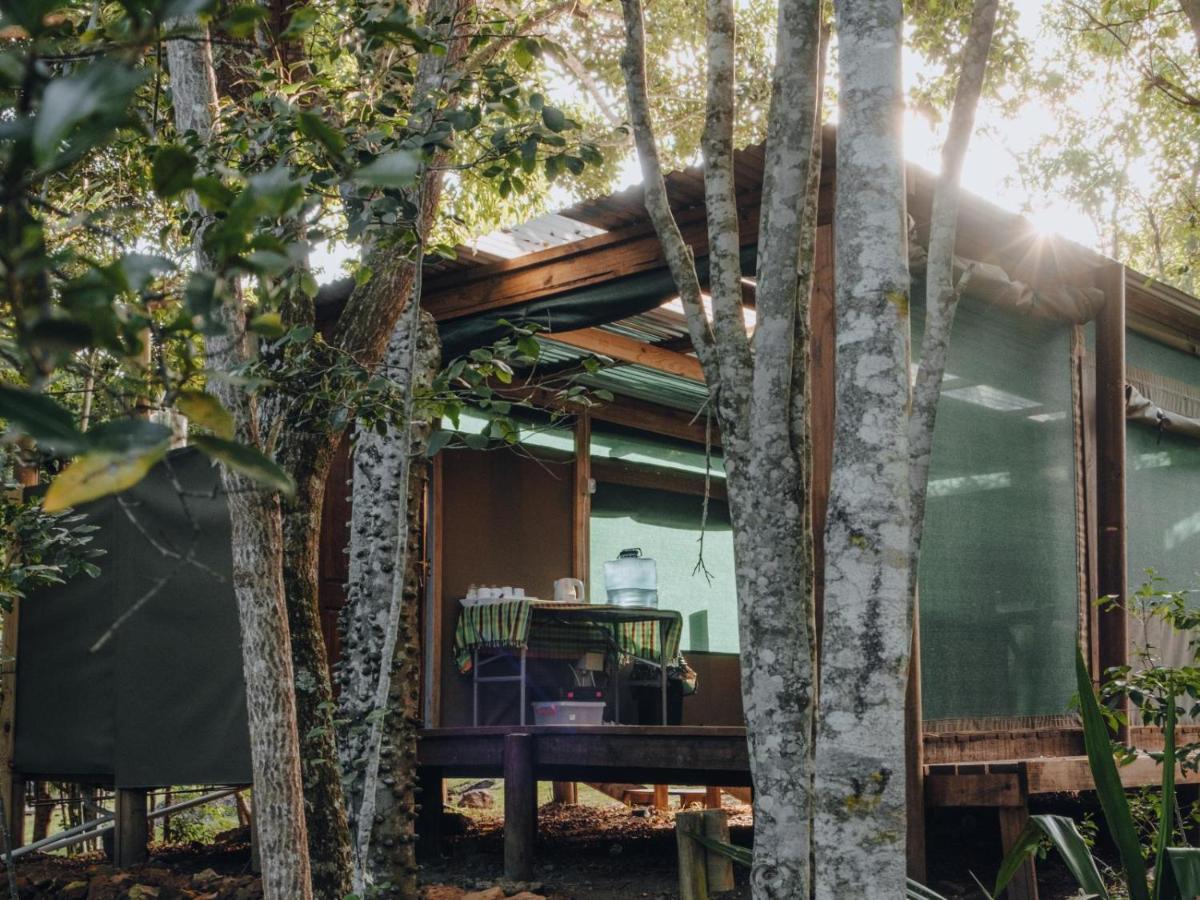 Firefly Falls Lodge