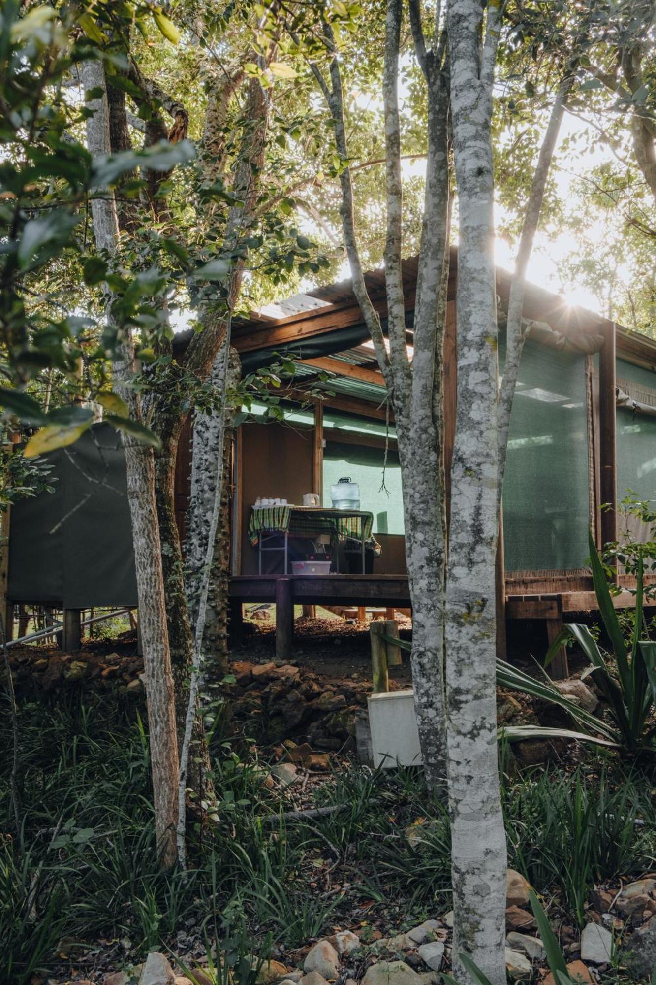 Firefly Falls Lodge