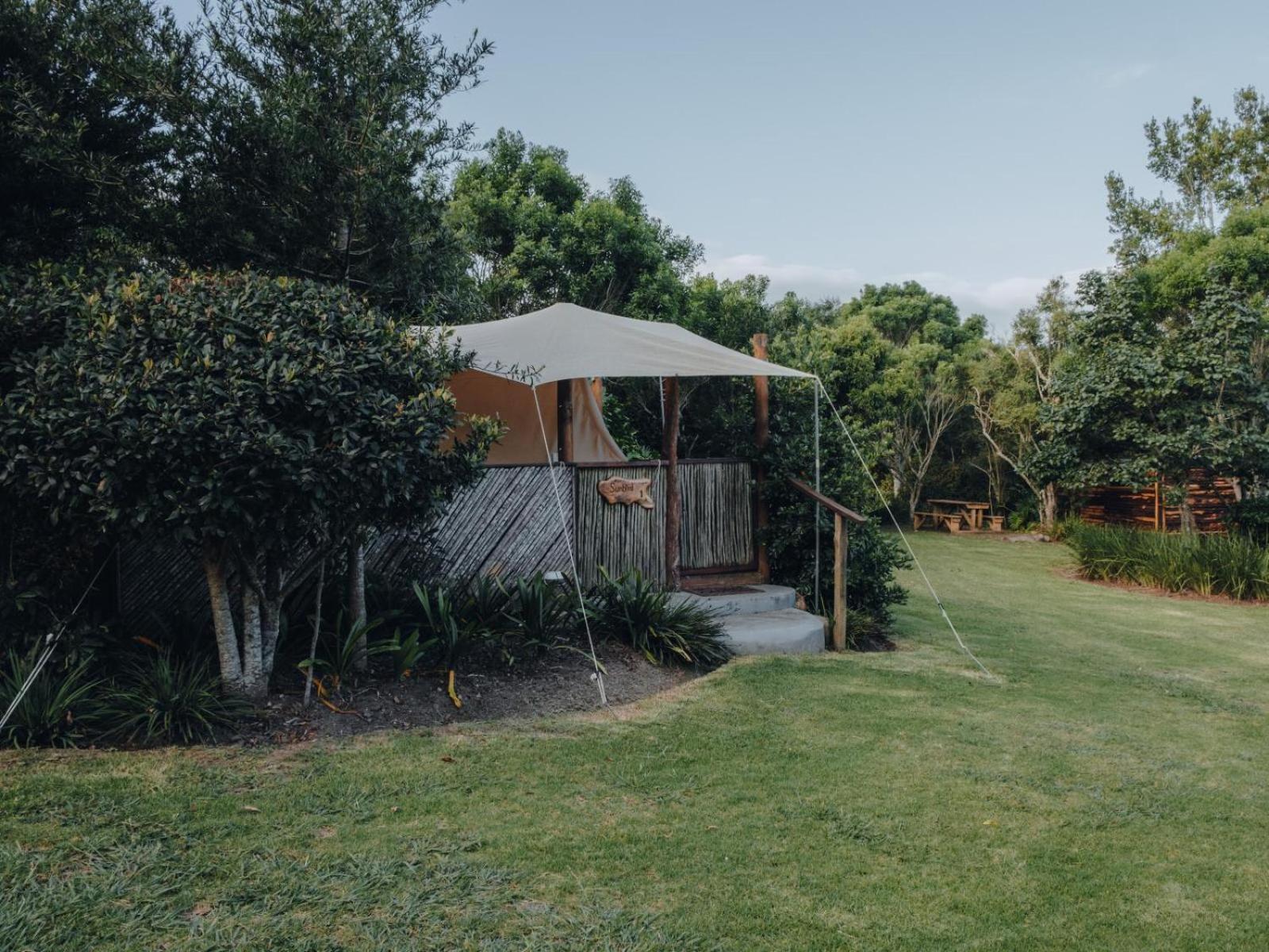 Lodge Firefly Falls Plettenberg Bay