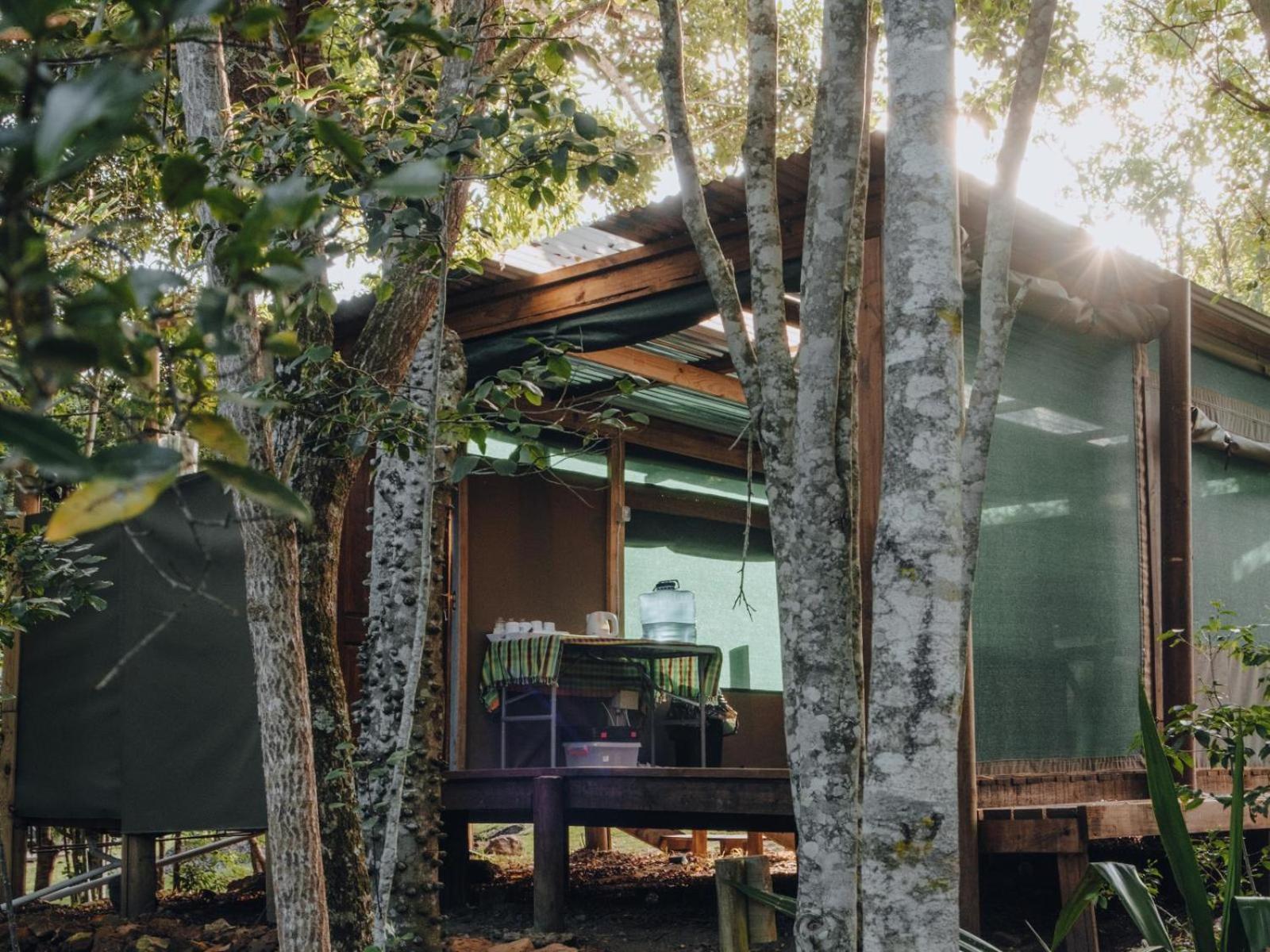 Firefly Falls Lodge *