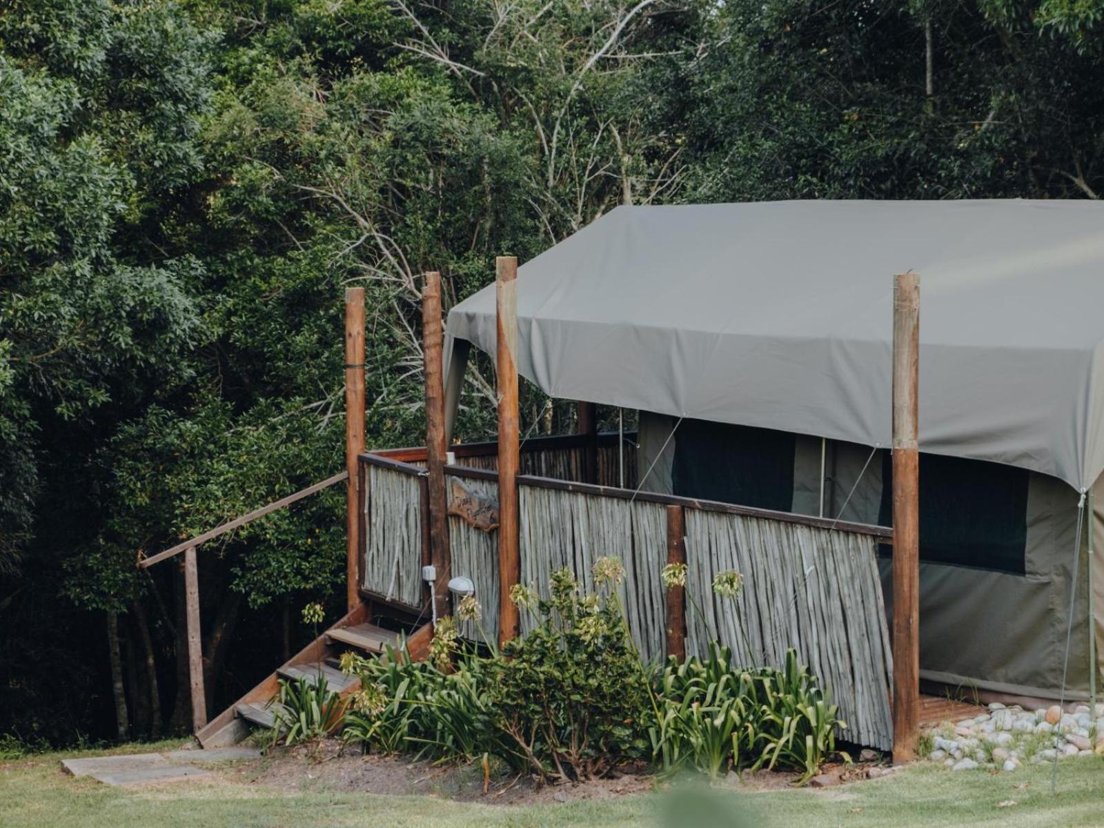 Firefly Falls Lodge Plettenberg Bay