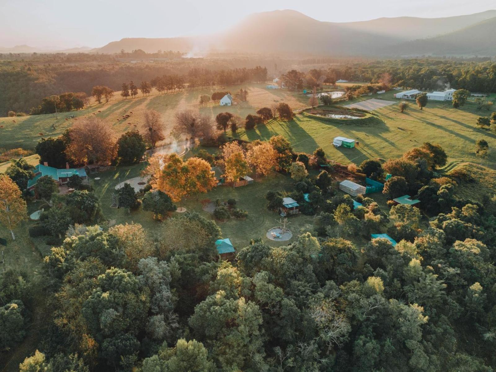 Firefly Falls Lodge Plettenberg Bay